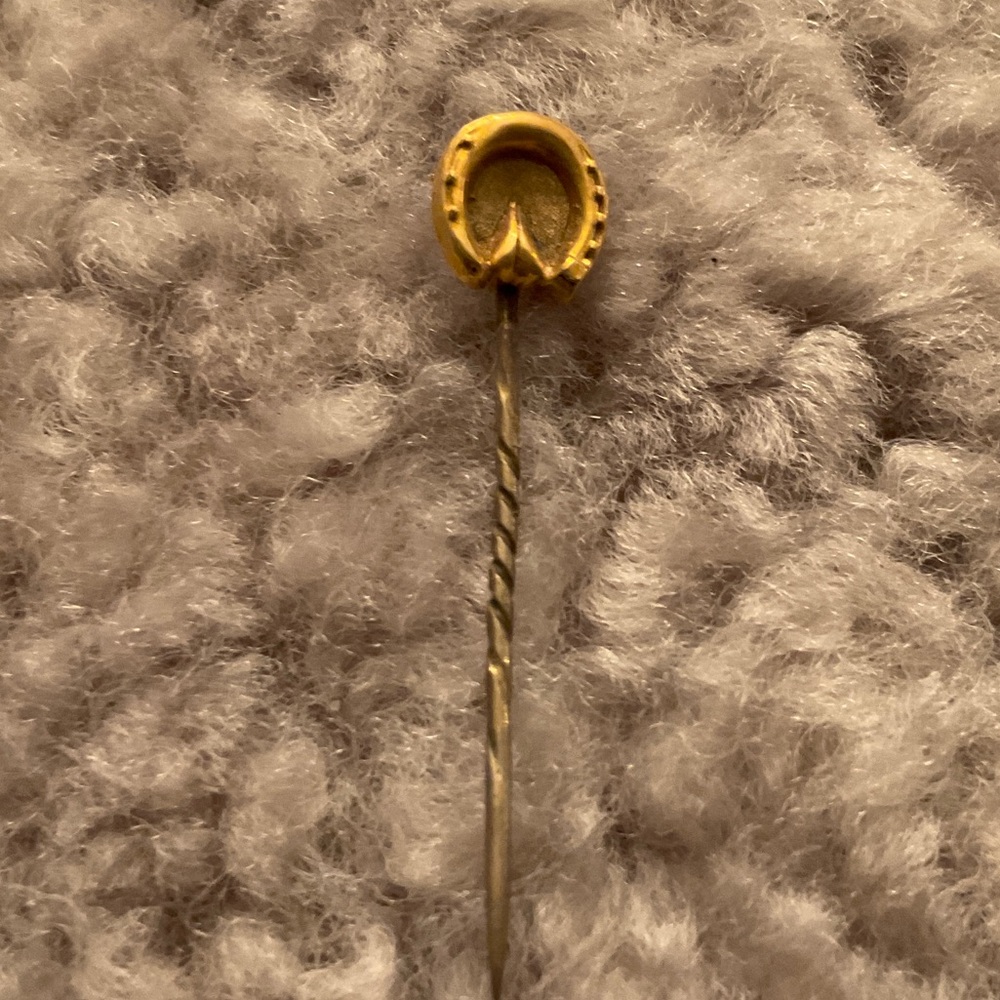 Antique Gold Horseshoe Pin